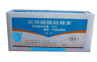 如何識(shí)別 怎么防 用什么藥 關(guān)于柑橘潰瘍病,最全知識(shí)都在這了